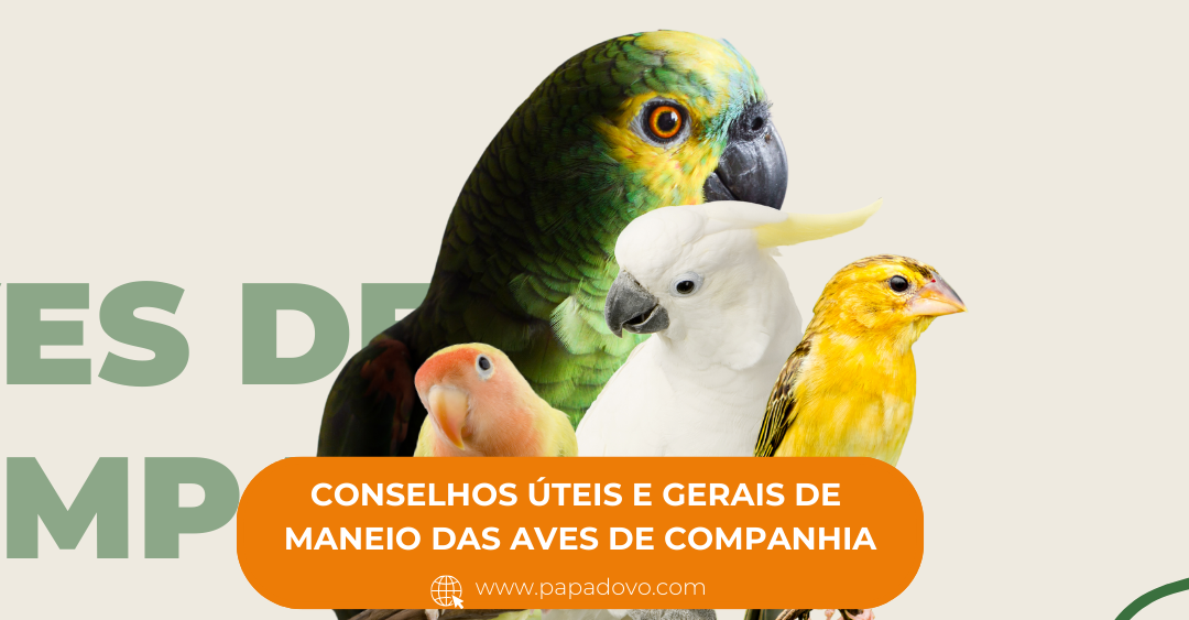 Aves de Companhia