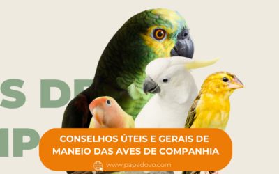 Conselhos Úteis e Gerais de Maneiro das Aves de Companhia