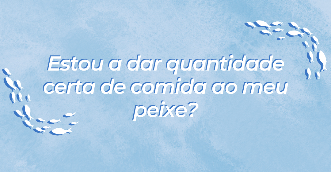 Estou a dar a quantidade certa de comida aos meus peixes?