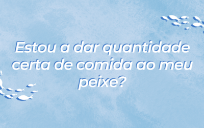 Estou a dar a quantidade certa de comida aos meus peixes?